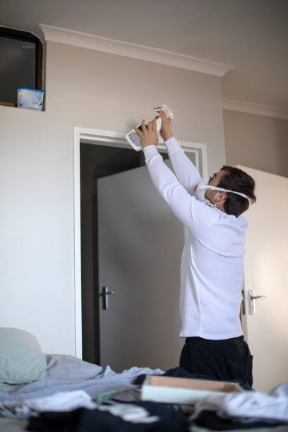 Mold Documentation for Insurance Claims in Black Mountain, NC