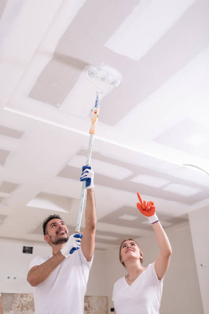 Best Black Mold Removal  in Black Mountain, NC