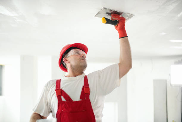 Mold Odor Removal Services in Black Mountain, NC
