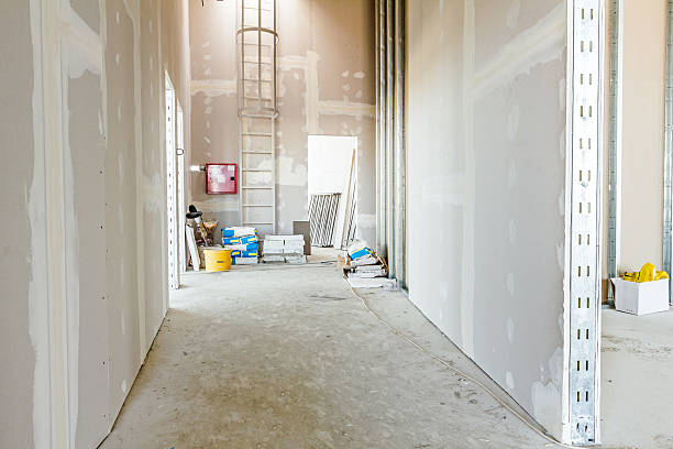 Trusted Black Mountain, NC Mold Removal Experts